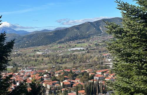 Ski Suites - Family Maisonette Kalavryta - Photo 8