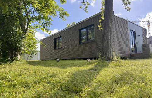 LieblingsKOOG - Foto 37