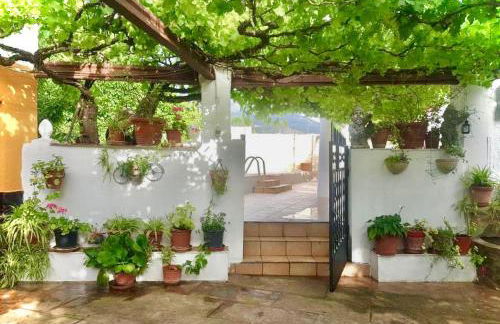 Alojamiento Julian - Foto 4