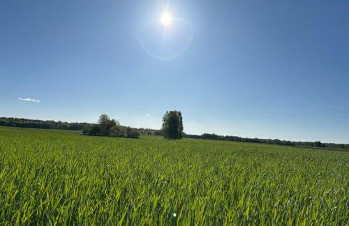 dla mnie się podoba - Foto 39