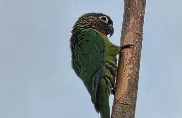 Casa das Hortênsias - Foto 23