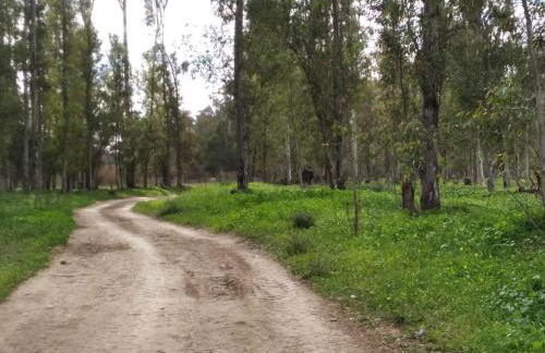 Home Benitez Pizarra - Foto 38