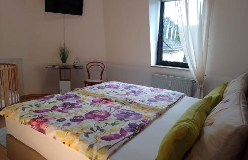 Komfort FeWo Stadt Mitte - Foto 17