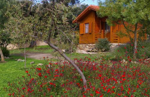 Cabañas del Cortino - Foto 29