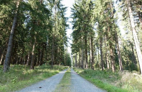 Retreat with Sauna, Hot Tub - Foto 38