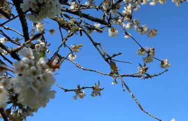 Ideally located Luxury Country Escape-The Lookout-with private garden dog friendly and private hot tub - Foto 19