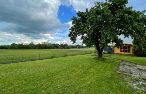 WundP Living Wohnung mit Terrasse Parkplatz - Photo 11