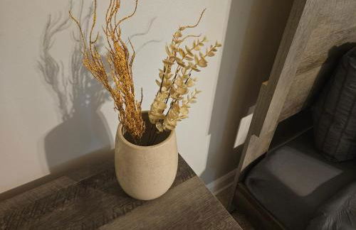 VillaQuèFrancia near Elvis Presley's Graceland 6 mins from Airport, Shuttle, & Rental Vehicle - Foto 29