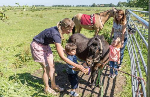 Friesenhof Janssen - Urlaub auf dem Bauernhof - Foto 3