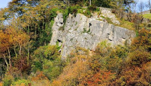 Linton Court Coach House - Foto 3