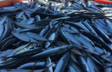 Appartement Design III - Port du Rosmeur - Parking Privé - Douarnenez - Foto 19