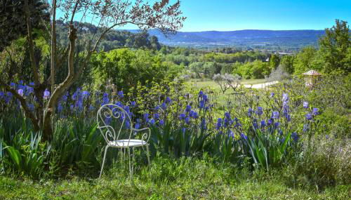 Domaine Lou Amì - Foto 5