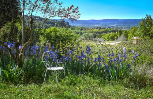 Domaine Lou Amì - Foto 5