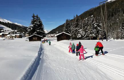 Casa Zebrusius - Zebrusius's App - Foto 32