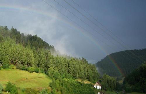 Gästehaus Brigitte Schoch - Photo 31