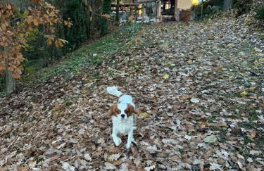 Casale di Anna - Foto 23