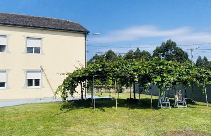 Carballeira house - Foto 62