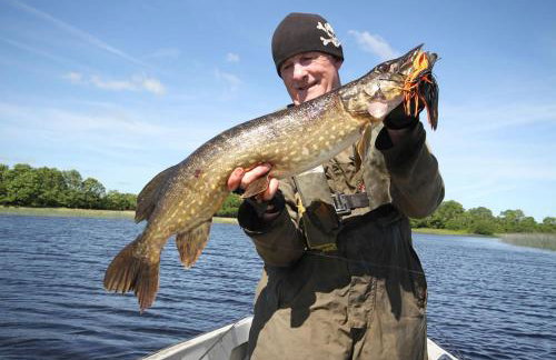 Belle Isle Castle and Cottages - Foto 17