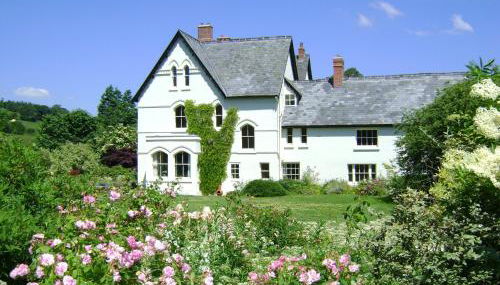 The Forest Country House B&B - Foto 1