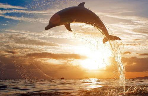 Apartments Vives - Foto 38