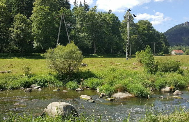 Spacious Authentic Polish Farmhouse in a Beautiful Landscape - Photo 14
