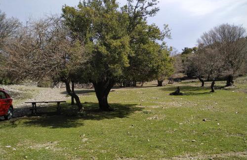 Il Silenzio - Foto 66