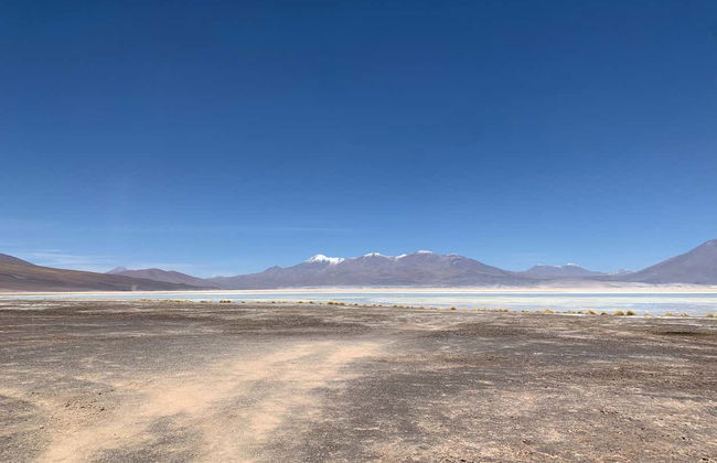 Ollagüe + Alto del Loa Salt Flats Private Tour - Foto 5