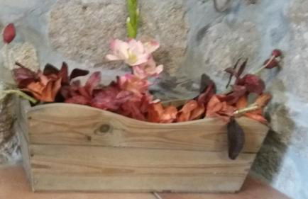 Casa Serra do Lagar - Foto 43