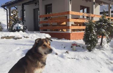 Domki w Bieszczadzkiej Dolinie - Foto 61