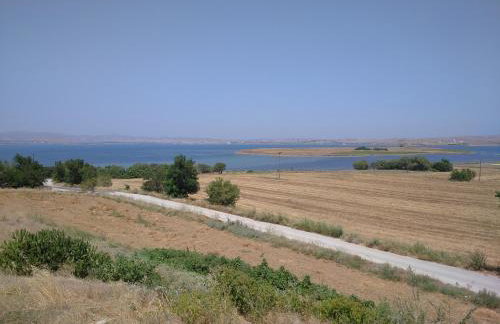 TERRA LEMNIA - Foto 61