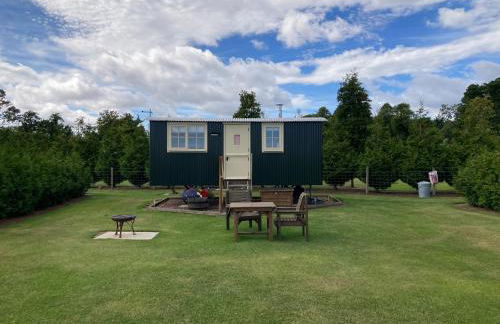 The Rowan Shepherds Hut - Photo 15