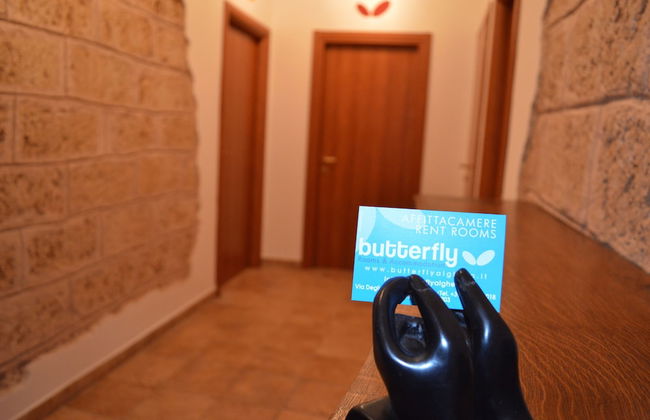 Butterfly Accommodation - Photo 44