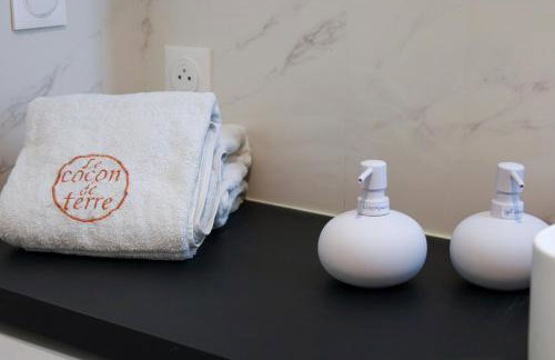 Appartement le cocon de terre - Foto 33