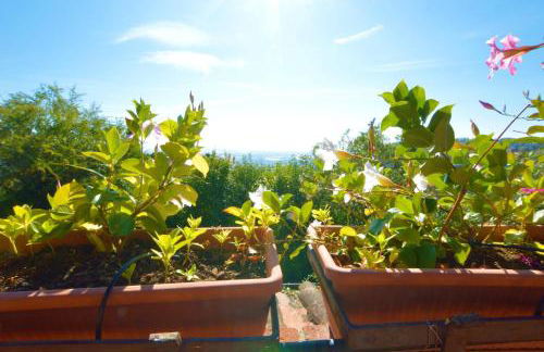 La Migliana by Nicola Real Estate - Foto 17