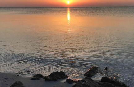 Villetta sul mare - Foto 41