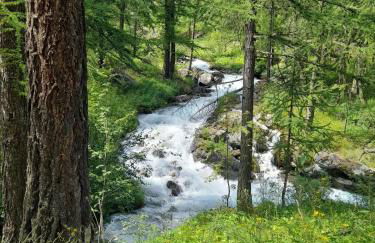 Aiglon Sud Appt 1er étage 4p Serre Chevalier - Photo 17