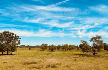 Quartier Alte Schule Breese - Foto 10
