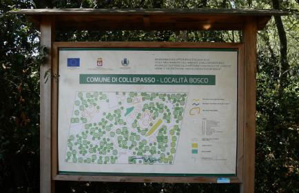 Casa Carolina - Foto 17