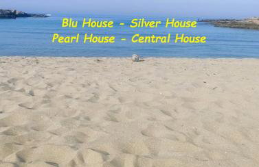 Central House - Foto 1
