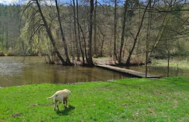 Hof Eckens - Ferienhaushaus Marie in Wildeck Bosserode - Foto 14