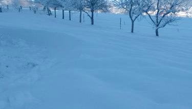 Apartman Djak - Foto 4