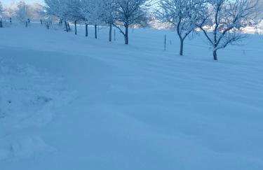 Apartman Djak - Foto 4