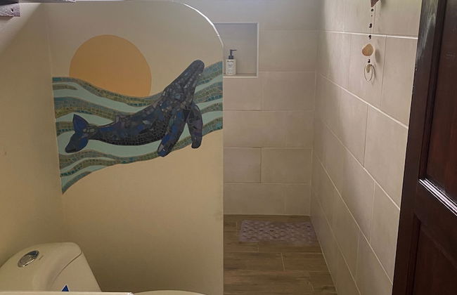 Morning Glory - Foto 55