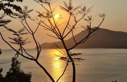 Will Container Experience - Foto 56