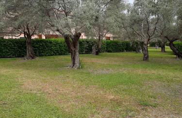 Nel villaggio il Monolocale tra gli ulivi - Foto 35