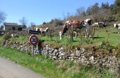 La parenthèse à la campagne - Foto 10