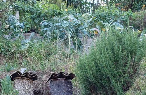 Moinho do Formigal - Foto 39