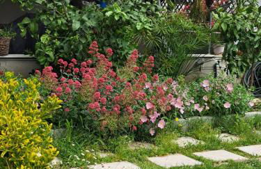 Elegance apartment - Foto 35