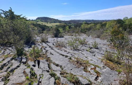 28 Rock Villas - Photo 69