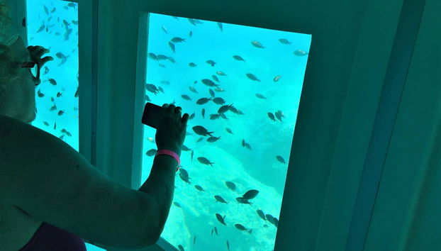 Passeio de barco com visão submarina - Foto 3